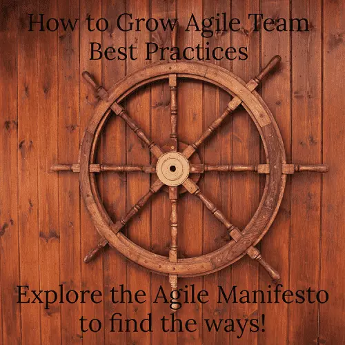 Agile team best practices determine the quality, delivery and value of your Agile development team