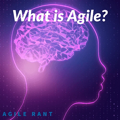What is Agile? Besides a process for teams to solve complex problems, it is so much more.